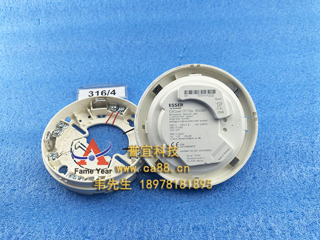 ESSER802384̽